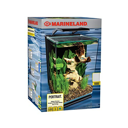 Foto 7 pulgar | Vidrio Led Led Para Retratos Aquarium Marineland, 19 L - Venta Internacional.