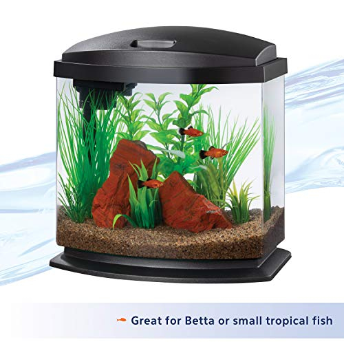 Foto 7 pulgar | Minibow Led Aquarium Aqueon, Tamaño Pequeño, Negro, 9,5 L, Con Smartclean - Venta Internacional.