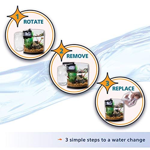 Foto 8 pulgar | Minibow Led Aquarium Aqueon, Tamaño Pequeño, Negro, 9,5 L, Con Smartclean - Venta Internacional.