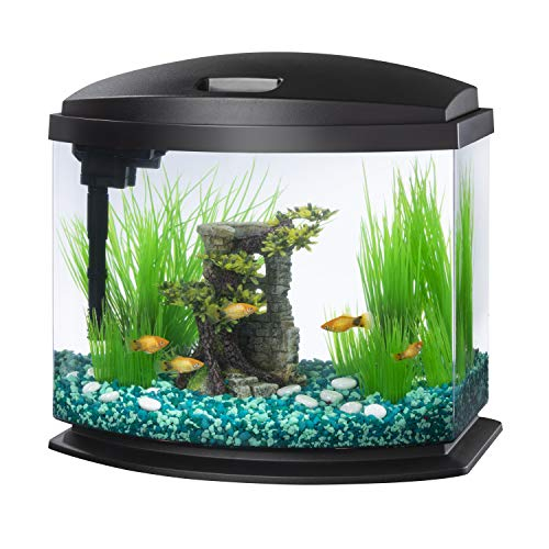 Foto 2 pulgar | Minibow Led Aquarium Aqueon, Tamaño Pequeño, Negro, 19 L, Con Smartclean - Venta Internacional.