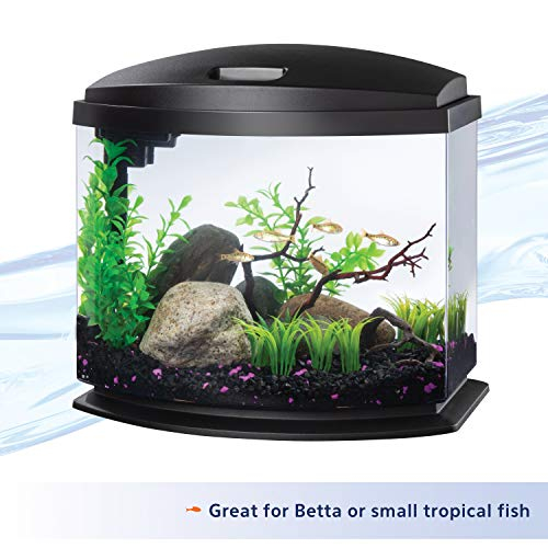 Foto 5 pulgar | Minibow Led Aquarium Aqueon, Tamaño Pequeño, Negro, 19 L, Con Smartclean - Venta Internacional.