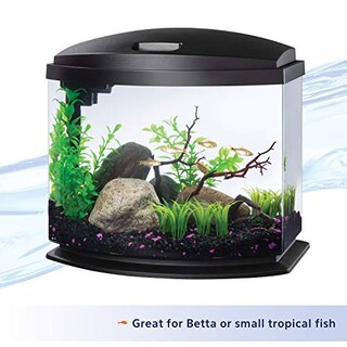 Foto 4 | Minibow Led Aquarium Aqueon, Tamaño Pequeño, Negro, 19 L, Con Smartclean - Venta Internacional.
