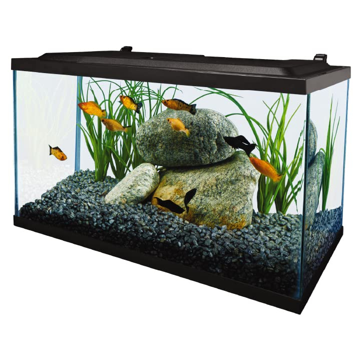 Foto 3 pulgar | Aquarium Tetra Complete Led 38 L (10 Galones) Con Filtración - Venta Internacional.