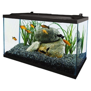 Foto 2 | Aquarium Tetra Complete Led 38 L (10 Galones) Con Filtración - Venta Internacional.