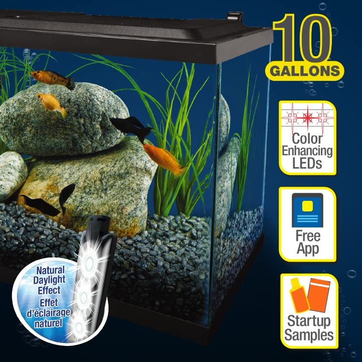 Foto 8 pulgar | Aquarium Tetra Complete Led 38 L (10 Galones) Con Filtración - Venta Internacional.