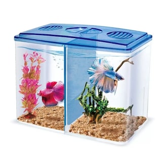 Foto 3 | Acuario Doble Peces Betta 1.5 Lts Eo Safe Imports Esi-16280 Transparente