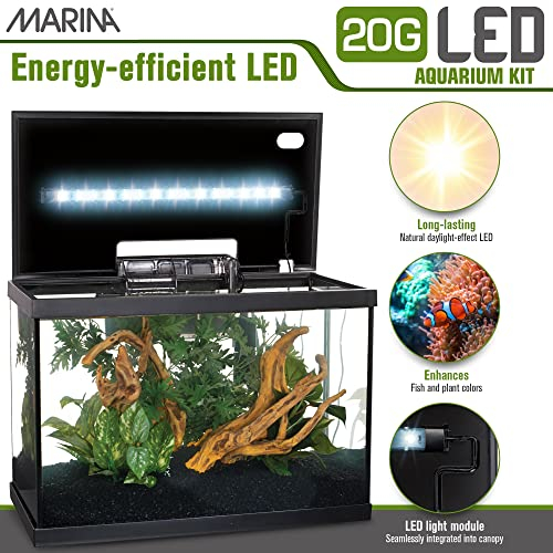 Foto 5 pulgar | Kit De Acuario Marina Para Pecera De 20 Galones Con Led - Venta Internacional.