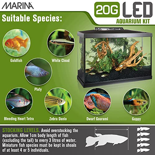 Foto 7 pulgar | Kit De Acuario Marina Para Pecera De 20 Galones Con Led - Venta Internacional.