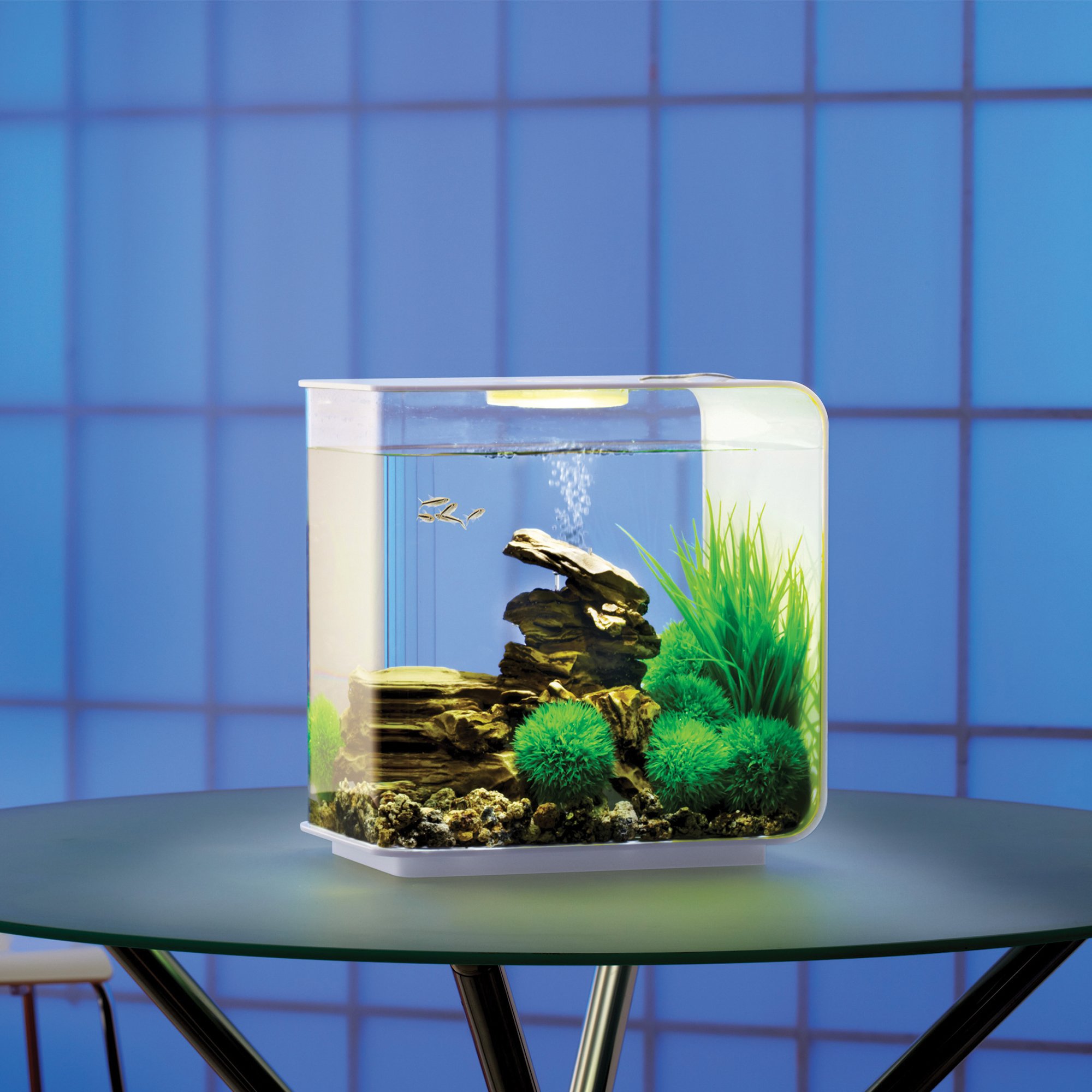 Foto 4 pulgar | Acuario Biorb Flow 15 Con Iluminación Mcr De 15 Litros, Color Blanco - Venta Internacional.