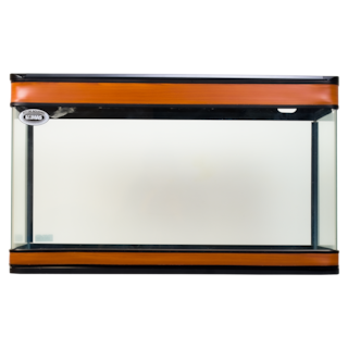 Foto 1 | Kit Pecera Duralumin Lomas Transparente Alto con Luz Led de 200 l