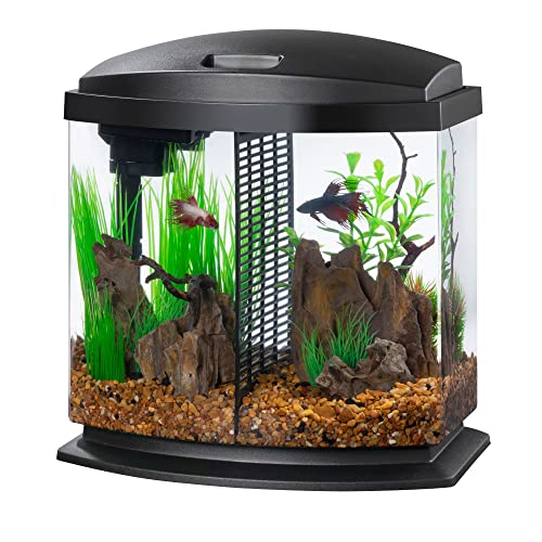 Foto 4 pulgar | Kit De Acuario Aqueon Bettabow Led Negro De 2,5 L Con Smartclean - Venta Internacional.