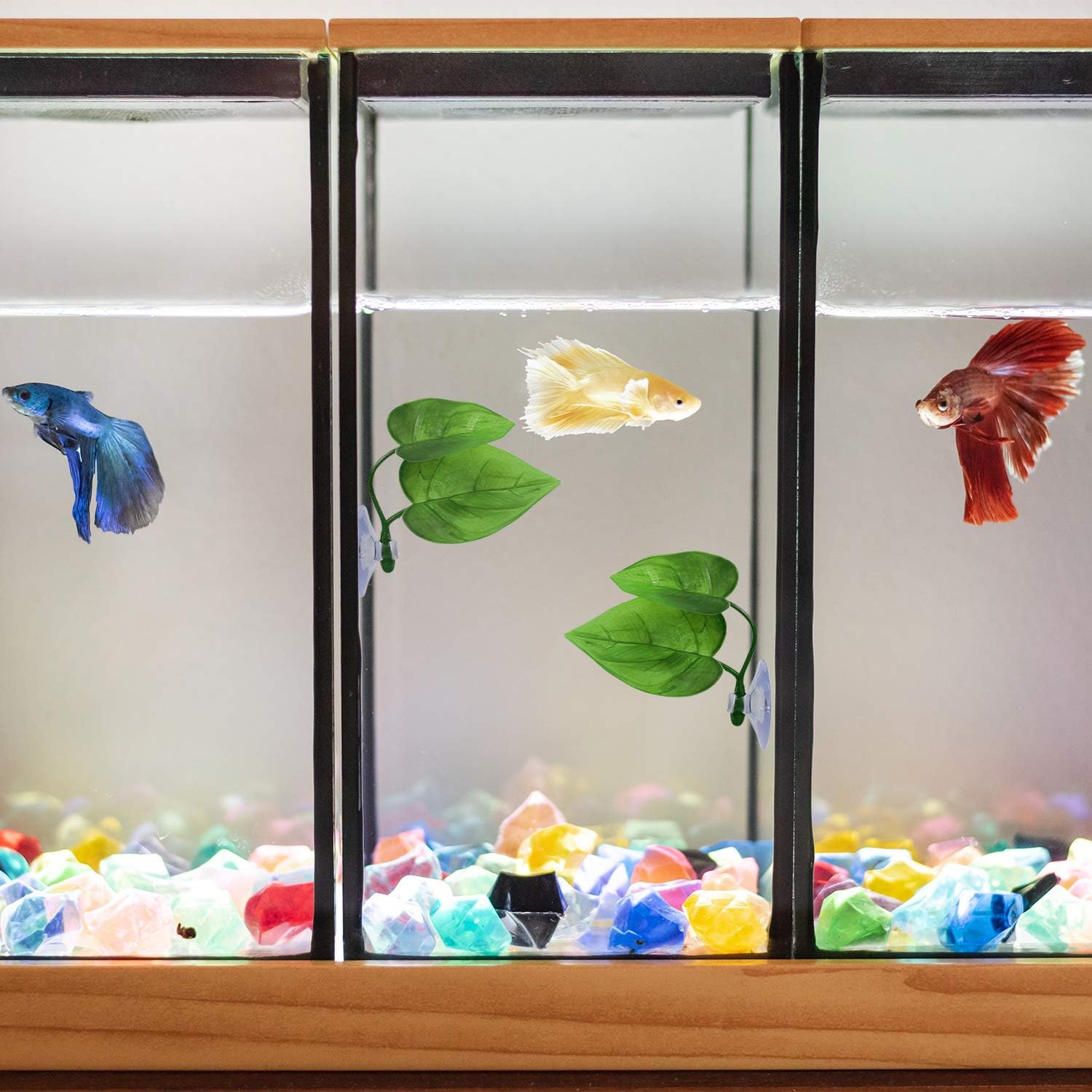 Foto 7 | Paquete De 4 Almohadillas Con Forma De Hojas De Pez Betta Que Simula El Hábitat Natural - Venta Internacional.