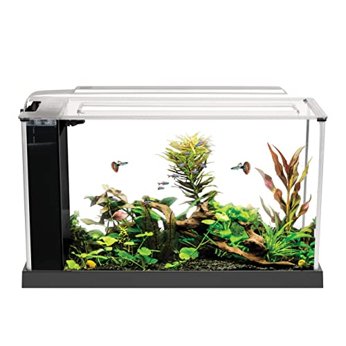 Foto 2 pulgar | Acuario Fluval Spec 19l Con Iluminación Led Y Filtración - Venta Internacional.