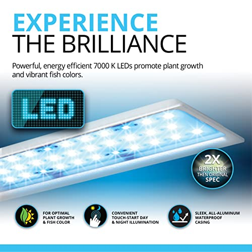 Foto 5 | Acuario Fluval Spec 19l Con Iluminación Led Y Filtración - Venta Internacional.