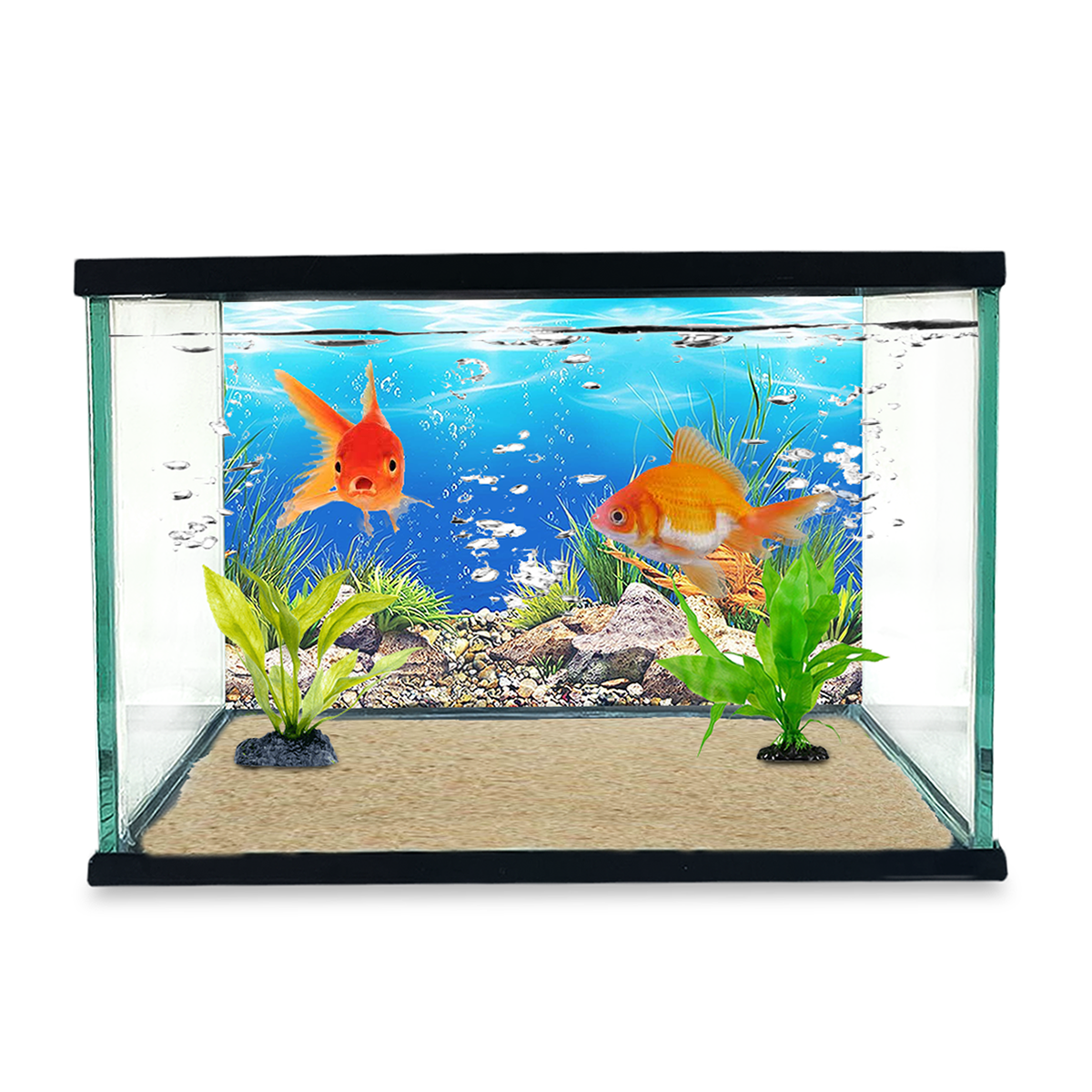 Foto 6 pulgar | Pecera Para Acuario O Terrario De 30x15x20 Capacidad 10l