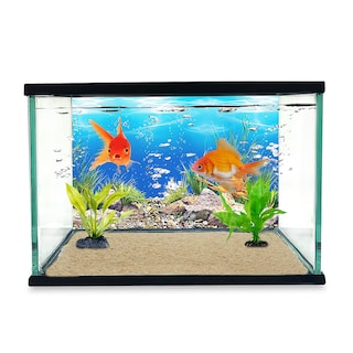 Foto 5 | Pecera Para Acuario O Terrario De 30x15x20 Capacidad 10l