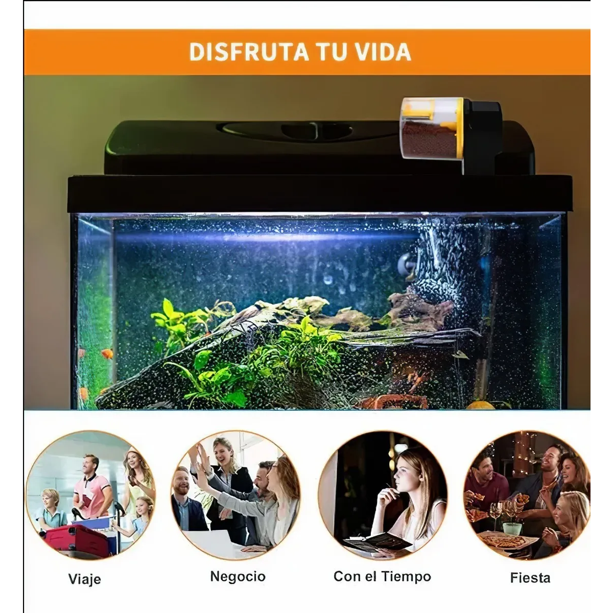 Foto 5 pulgar | Alimentador Automático Peces Dispensador Alimento Para Peces Eo Safe Importsesi-20233 Amarillo