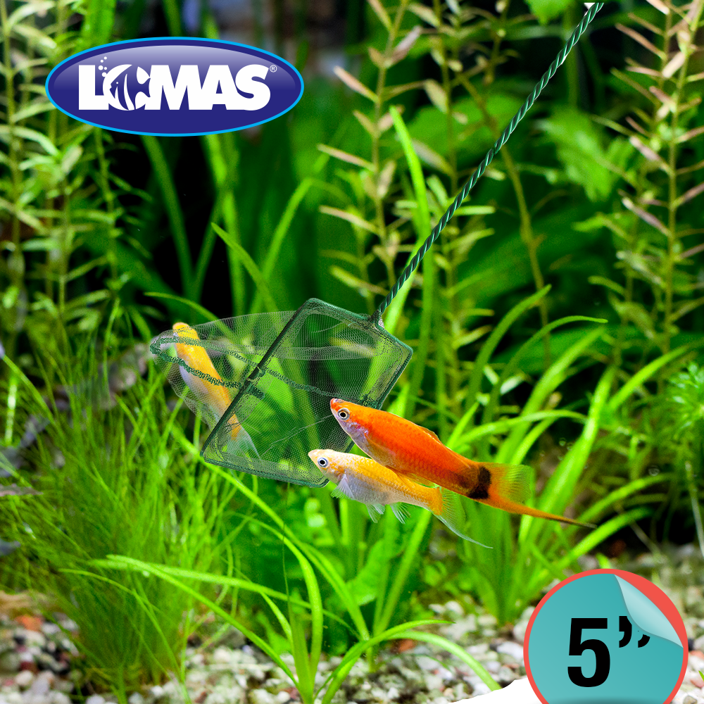 Foto 2 | Red de Malla Gruesa para Acuarios Lomas Tamaño 3 Pulgadas