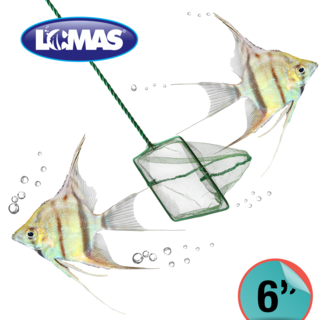 Foto 3 | Red de Malla Gruesa para Acuarios Lomas 6 Pulgadas