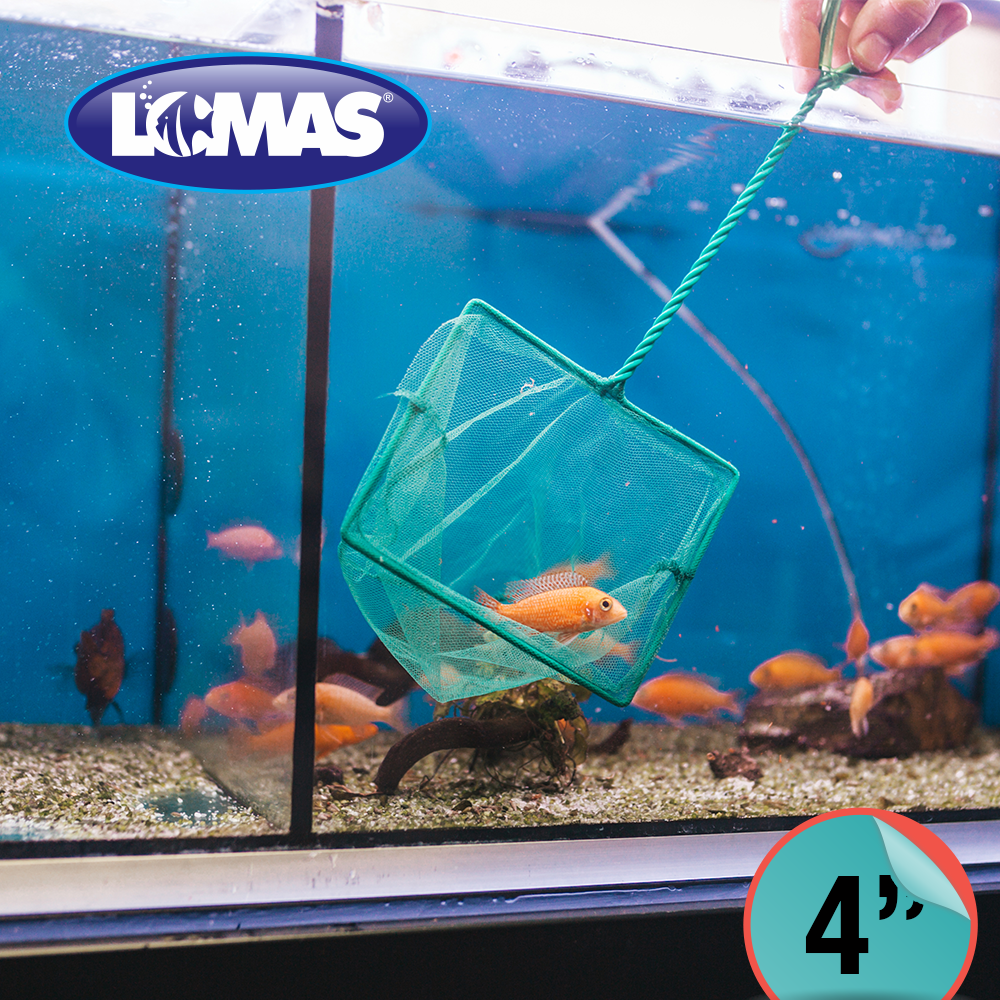 Foto 2 | Red de Malla Gruesa Lomas para Peceras Tamaño 4 Pulgadas
