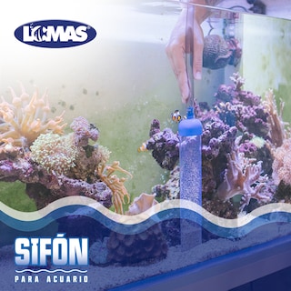 Foto 2 | Sifón Lomas para Pecera Tamaño Chico