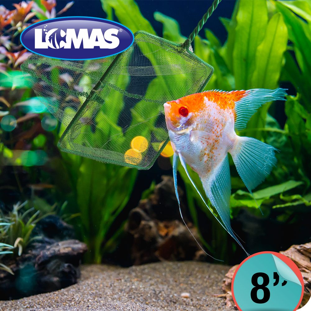 Foto 2 | Lomas Red De Malla Gruesa Para Acuarios Y/o Peceras Tamaño 8 Pulgadas