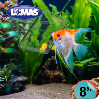 Foto 2 | Lomas Red De Malla Gruesa Para Acuarios Y/o Peceras Tamaño 8 Pulgadas