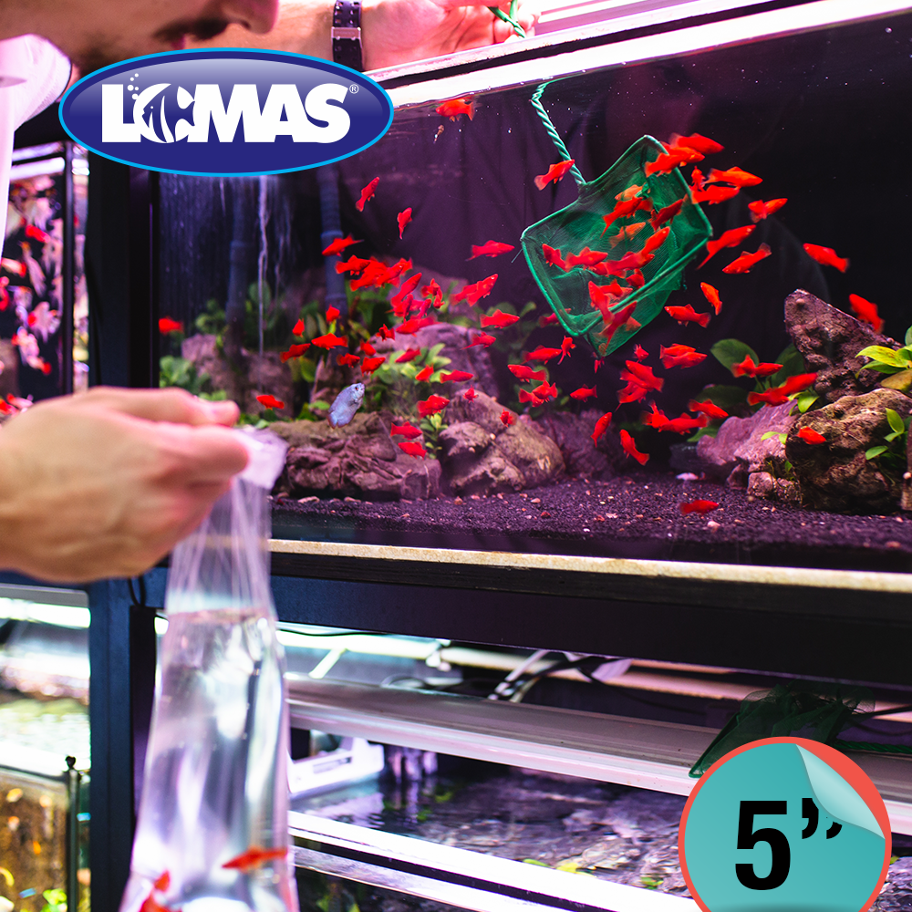 Foto 2 | Lomas Red De Malla Gruesa Para Acuarios Y/o Peceras Tamaño 5 Pulgadas