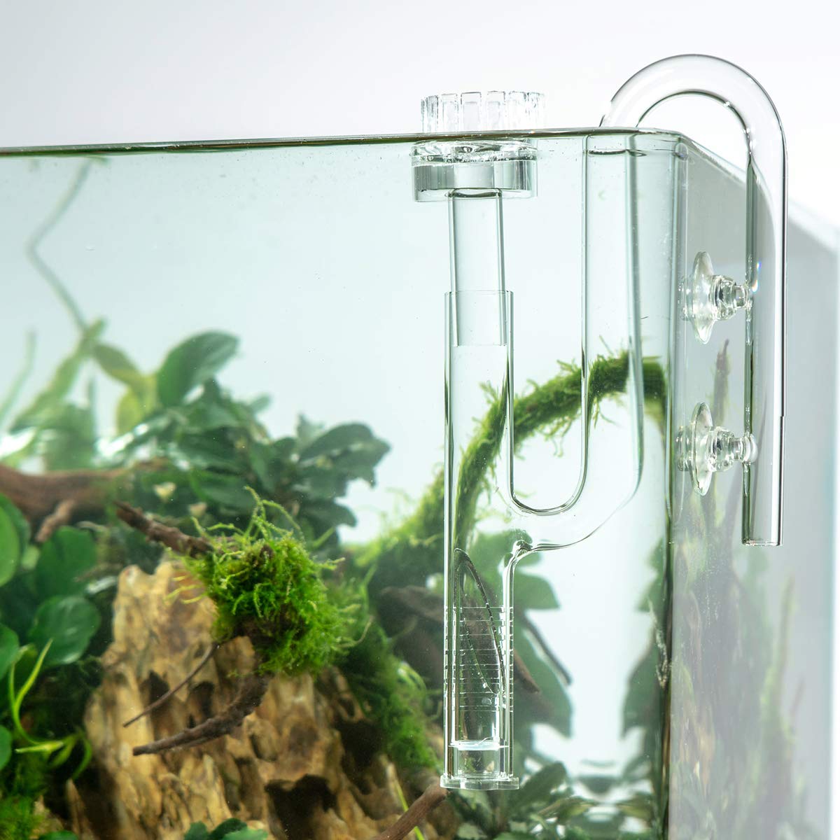 Foto 8 pulgar | Set De Pipas Con Forma De Lirio De Cristal Acuático Fzone Aquatic Para Acuario - Venta Internacional.
