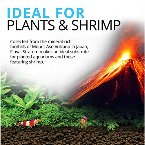 Foto 3 pulgar | Sustrato Para Acuario Fluval, Planta Y Estrato De Camarones, 8 Kg - Venta Internacional.