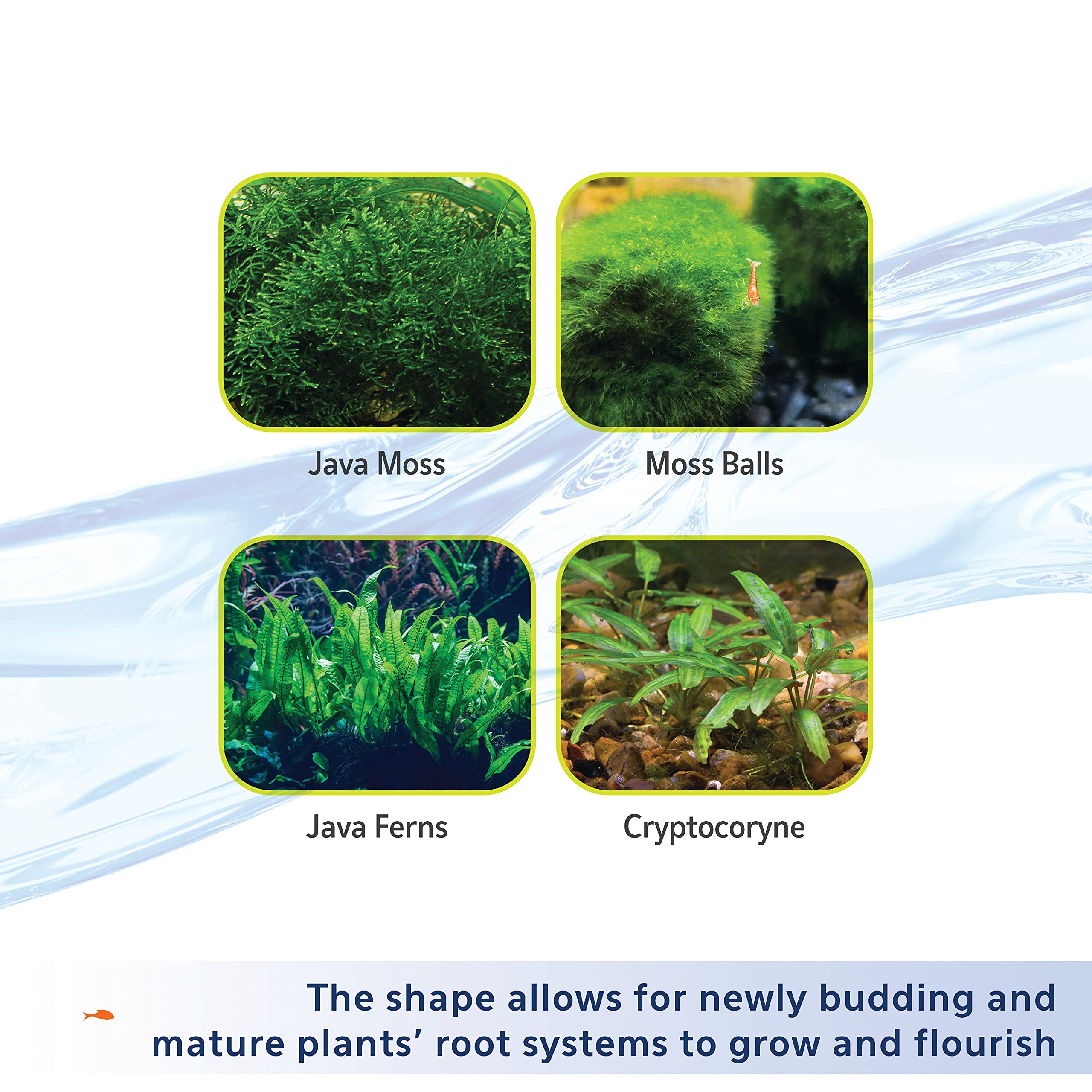 Foto 5 | Sustrato Para Acuario Aqueon Para Plantas Y Camarones, 2,27 Kg, Color Marrón - Venta Internacional.