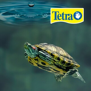 Foto 2 | Acondicionador Líquido Aquasaf Tetra para Reptiles y Anfibios con 100 ML