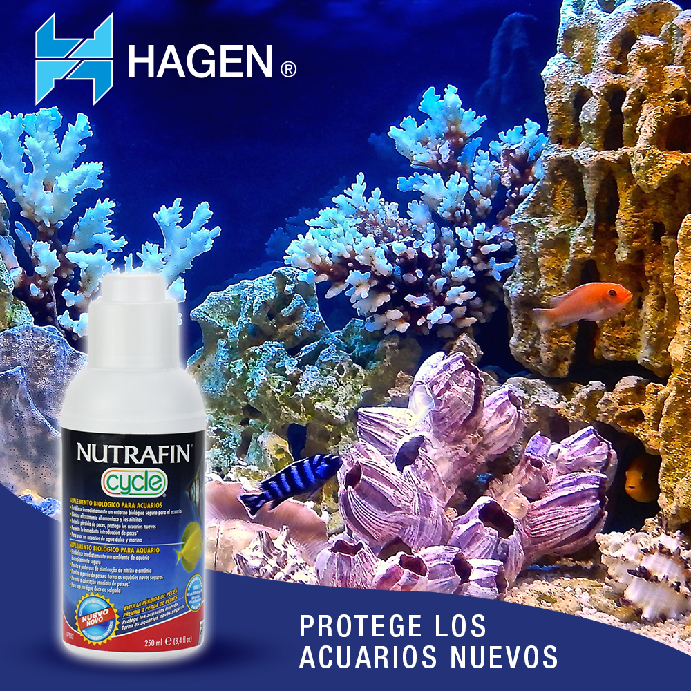 Foto 3 pulgar | Suplemento Biológico Hagen para Acuario 250 Ml
