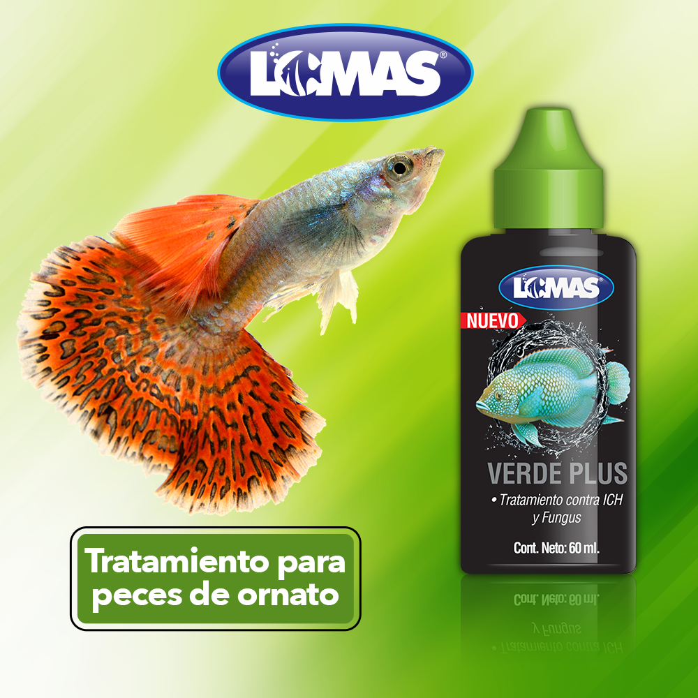 Foto 2 | Tratamiento Lomas FL1103M Verde Plus contra Ich y Fungus para Peces de Ornato 60 ml