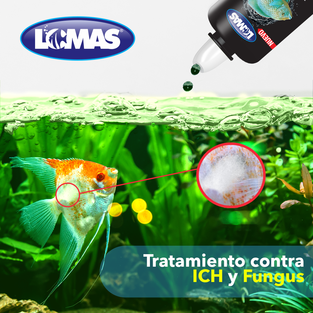 Foto 4 pulgar | Tratamiento Lomas FL1103M Verde Plus contra Ich y Fungus para Peces de Ornato 60 ml
