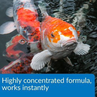 Foto 4 | Acondicionador De Agua Para Estanque Api Pond Aqua Essential 946 Ml - Venta Internacional.