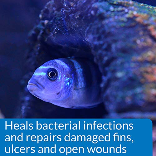 Foto 5 pulgar | Remedio Para Infecciones Bacterianas En Pescado Api Melafix, Botella De 1,89 Litros - Venta Internacional.