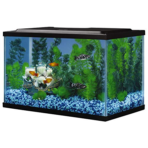 Foto 4 pulgar | Acuario Tetra Glass De 20 Litros Para Peces De Agua Dulce - Venta Internacional.
