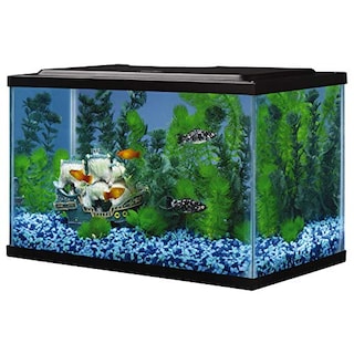 Foto 3 | Acuario Tetra Glass De 20 Litros Para Peces De Agua Dulce - Venta Internacional.