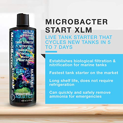 Foto 3 pulgar | Tanque Starter Brightwell Aquatics Microbacter Start Xlm - Venta Internacional.