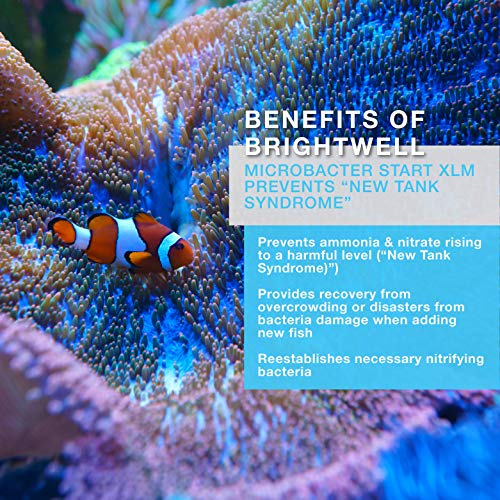Foto 4 pulgar | Tanque Starter Brightwell Aquatics Microbacter Start Xlm - Venta Internacional.