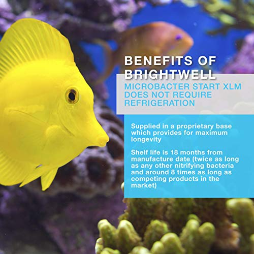 Foto 5 | Tanque Starter Brightwell Aquatics Microbacter Start Xlm - Venta Internacional.