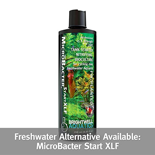 Foto 7 pulgar | Tanque Starter Brightwell Aquatics Microbacter Start Xlm - Venta Internacional.