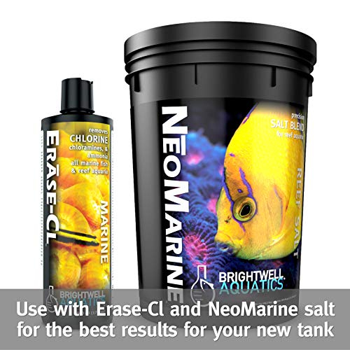 Foto 8 pulgar | Tanque Starter Brightwell Aquatics Microbacter Start Xlm - Venta Internacional.