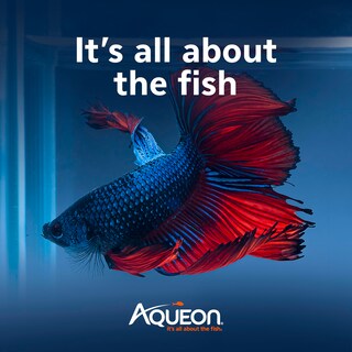 Foto 7 | Aqueon Betta Beads Rosa, Una Bolsa - Venta Internacional.