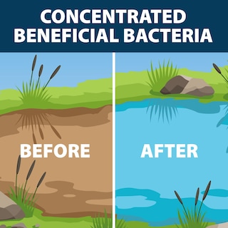 Foto 4 | Bacterias Beneficiosas Airmax Muckaway Para Estanques Al Aire Libre, 48 Cucharadas - Venta Internacional.