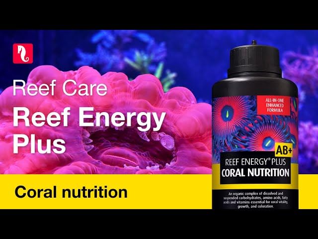 Foto 6 pulgar | Coral Food Red Sea Reef Energy Plus, 500 Ml, Para Acuarios De Agua Salada - Venta Internacional.