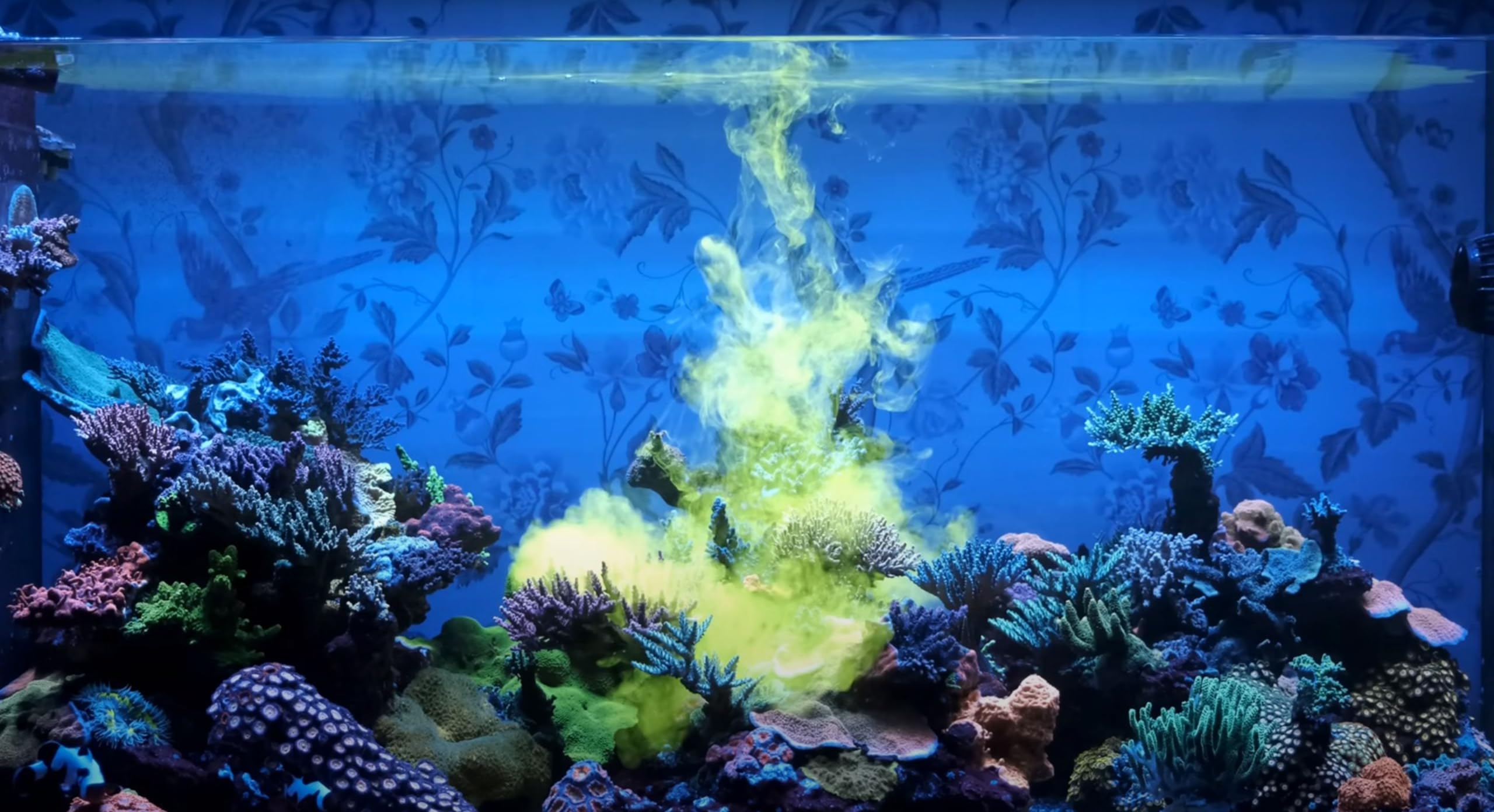 Foto 8 pulgar | Coral Food Red Sea Reef Energy Plus, 500 Ml, Para Acuarios De Agua Salada - Venta Internacional.
