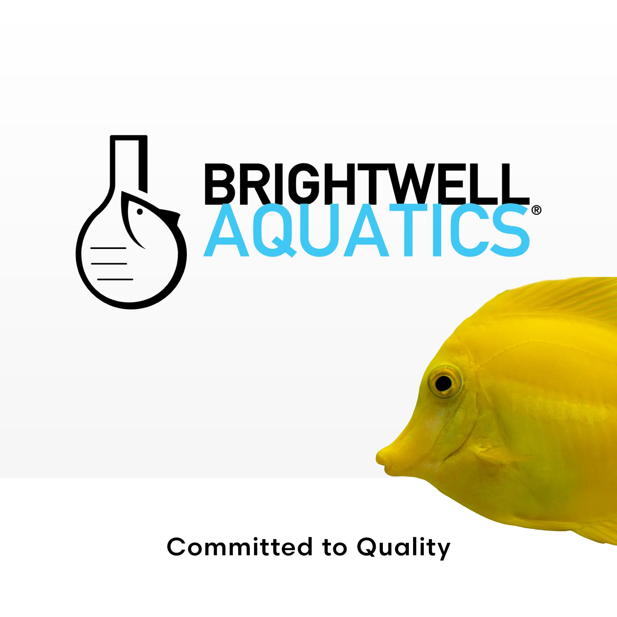 Foto 8 pulgar | Tratamientos De Agua Para Acuarios Brightwell Aquatics Neonitro 500 Ml - Venta Internacional.