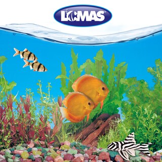 Foto 3 | Respaldo Doble Vista para Acuario Lomas FL8861 - Bosques Acuáticos 50 cm